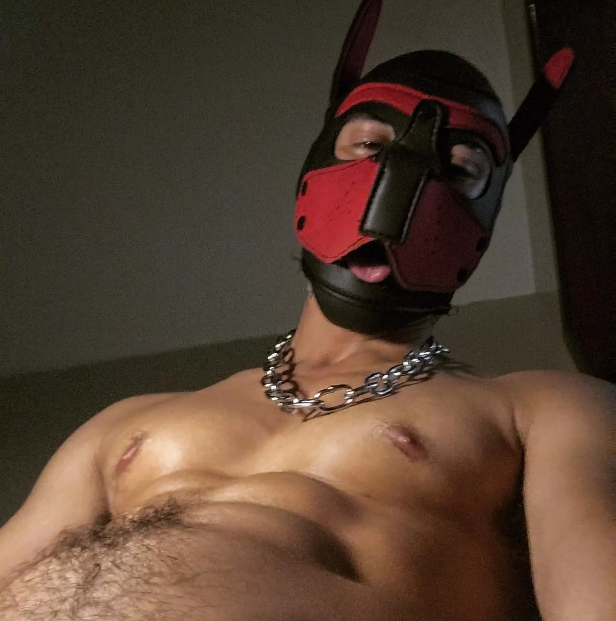 Sweaty pup posted by Sea-Perception-2238