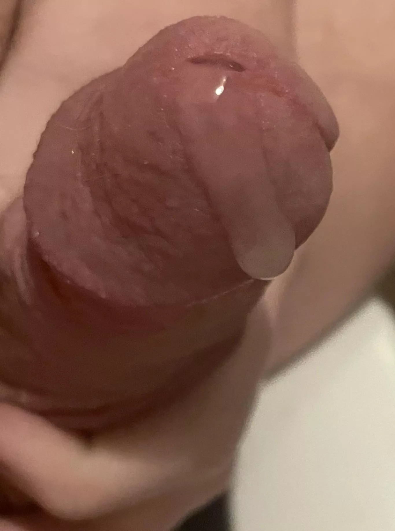 Think it looks good? posted by Apprehensive_Meat672