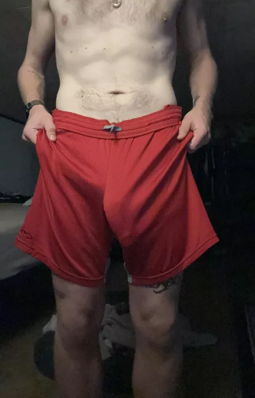 wore these to the gym, noticeable?  by loadedforbear097