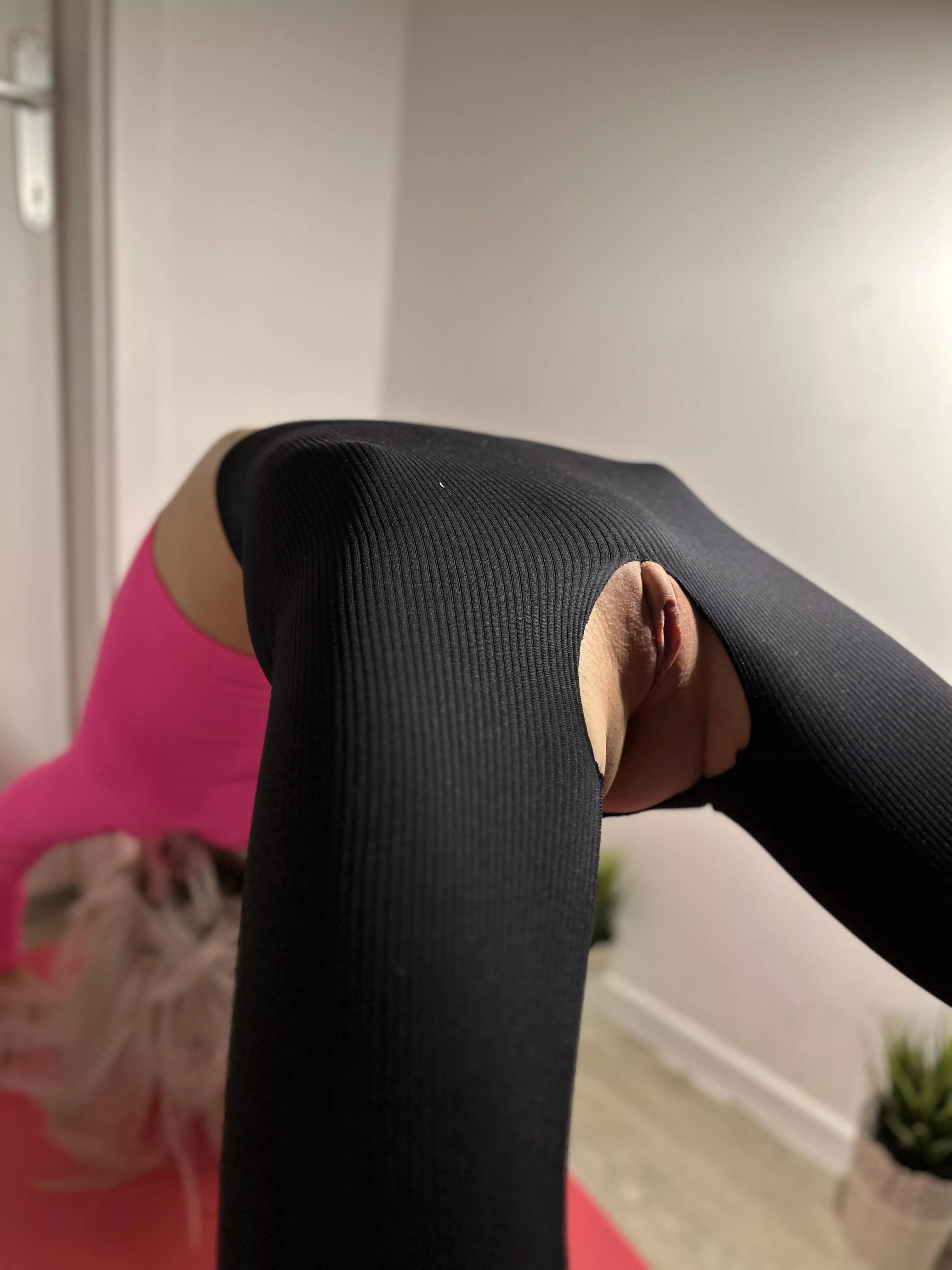 Would you be my yoga partner? posted by la_skinny