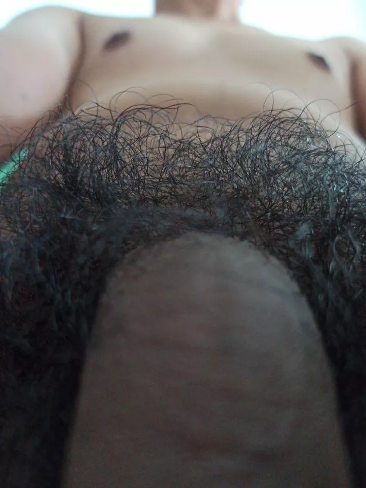 Your face in here please  posted by thataverageguy11