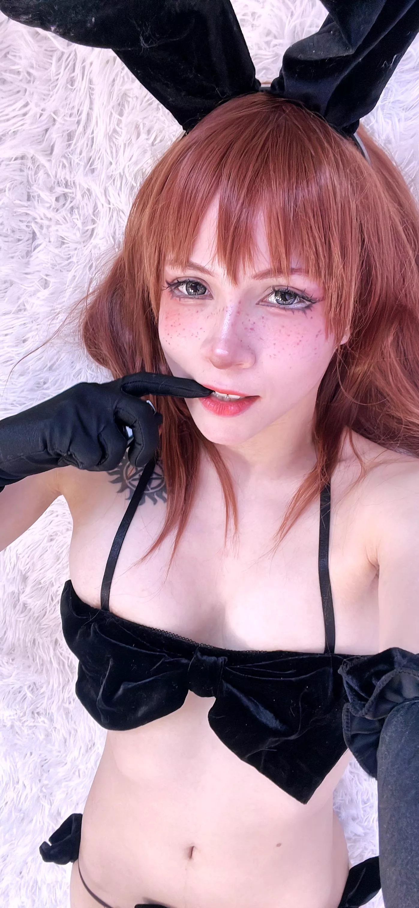 Your Velvet Bunny posted by SthormyStar