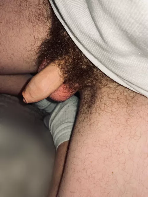 [31] m looking for hairy dicks +++ with a fat bush for fun with FACE on snap add me : Marc.boy23 and live cum- tradebuddy 👌🏼 by 29gaylookingforhairy