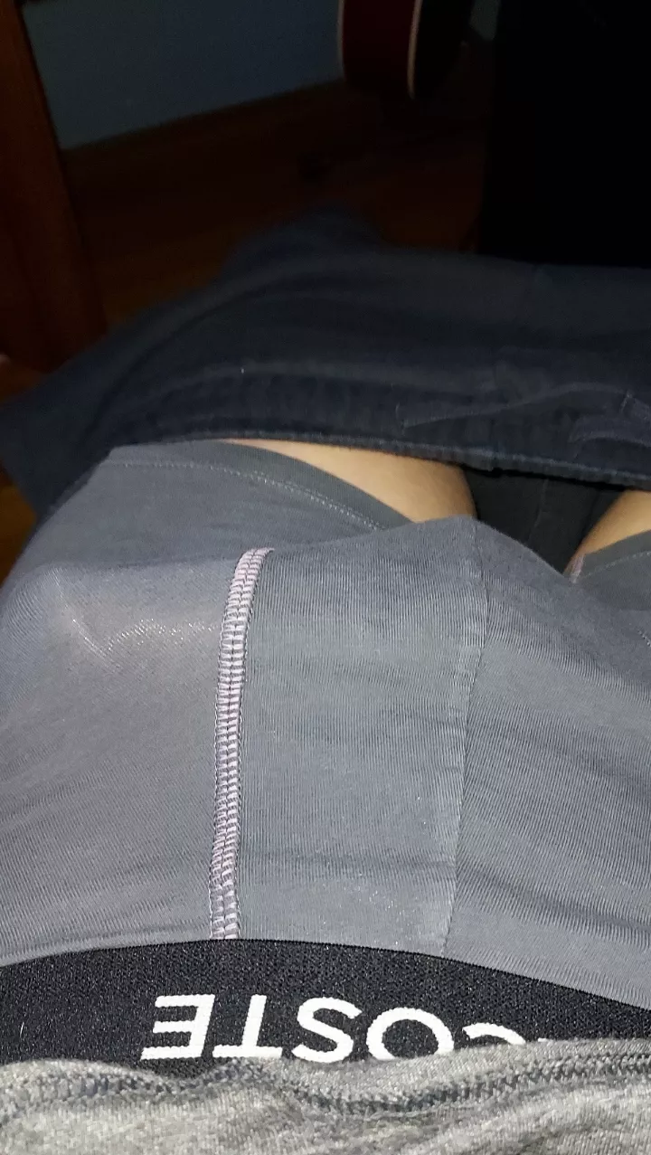 Anyone wanna see more. posted by RevolutionOk1152