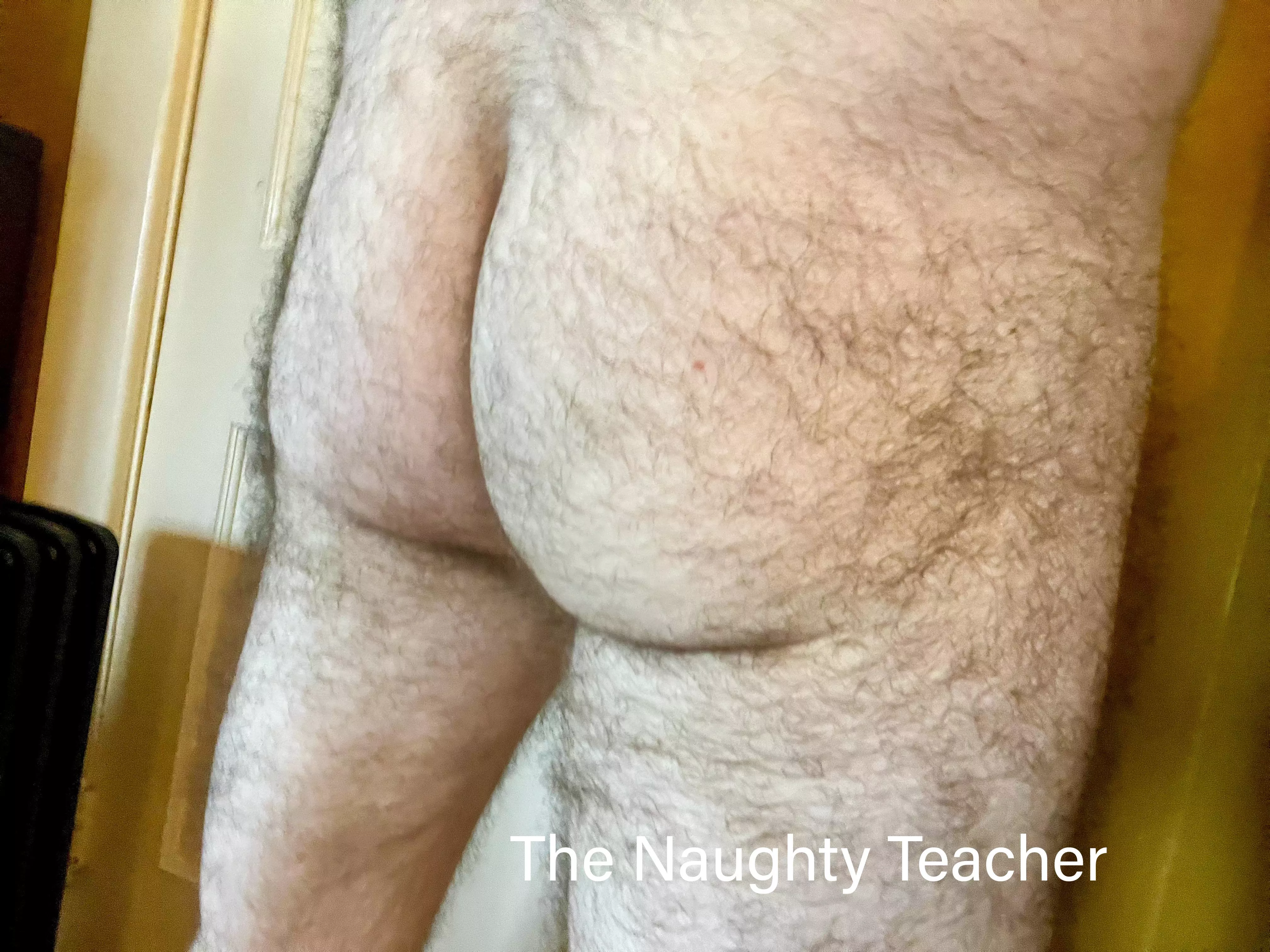 Anyone want some hairy teacher ass? posted by runningwlions