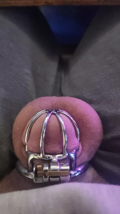 Caged since start of the year. Goal is 1 whole year. And it's getting tough. by Smooth_Rider69