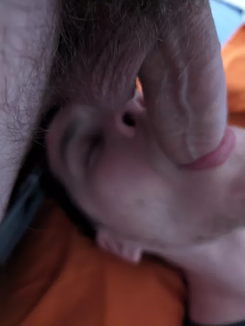 Feeding the Twink nextdoor  by Parking-Bit1665