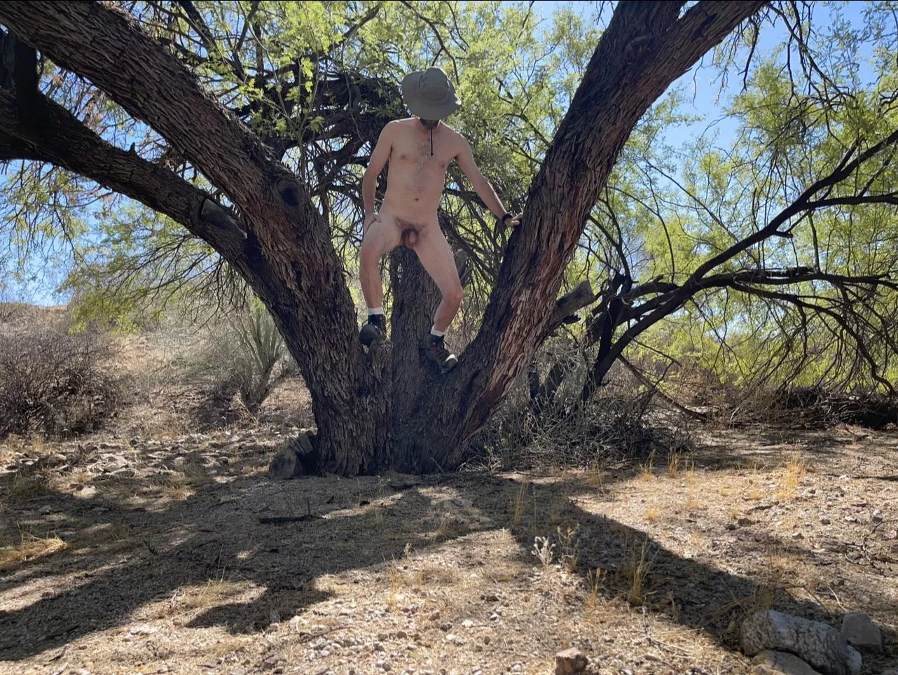 🌳 Happy Tree Pose Tuesday 🌳 posted by Boobluvr0069