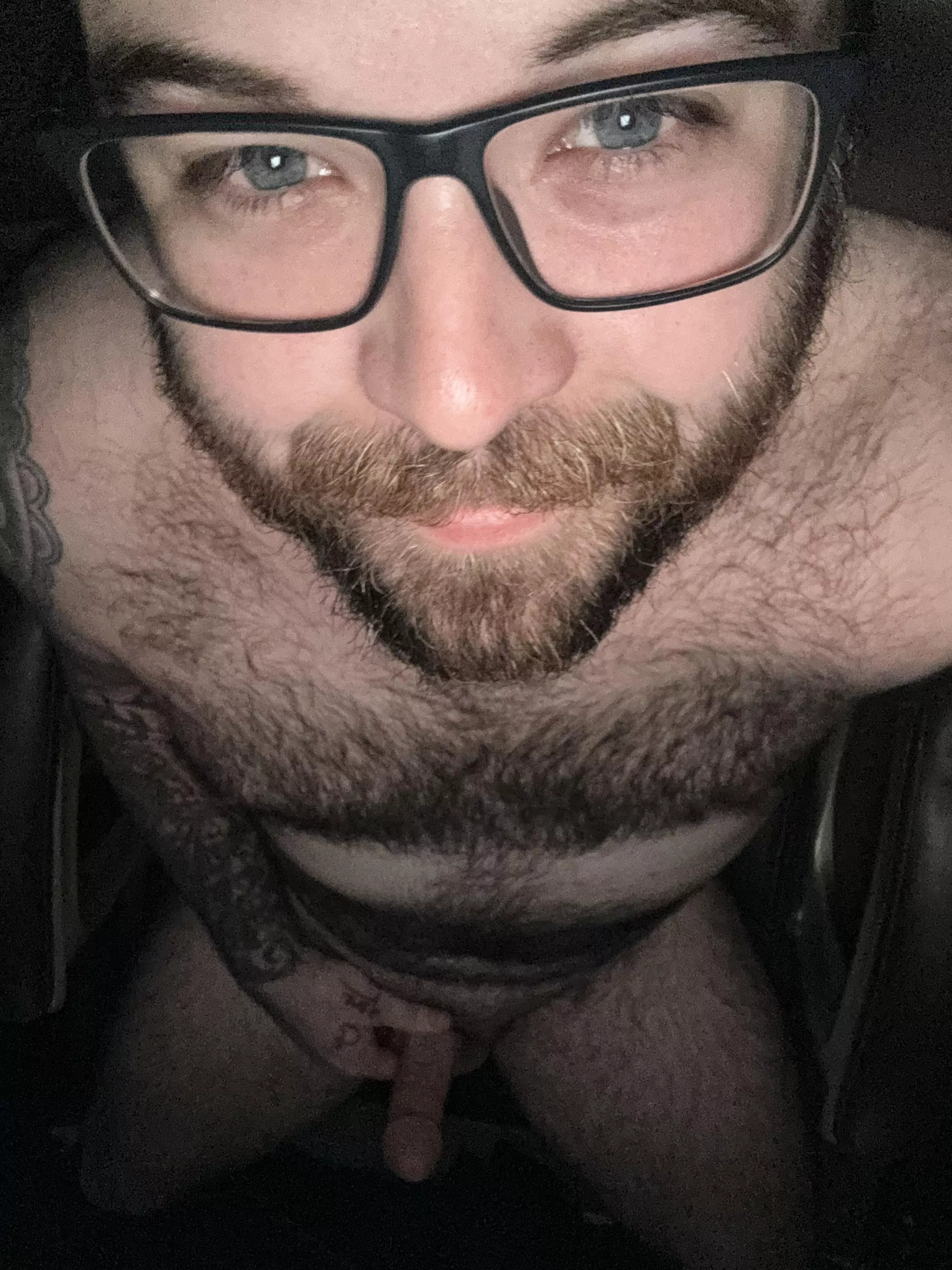 Honk if you’d ride me? [31] posted by SourBrapple