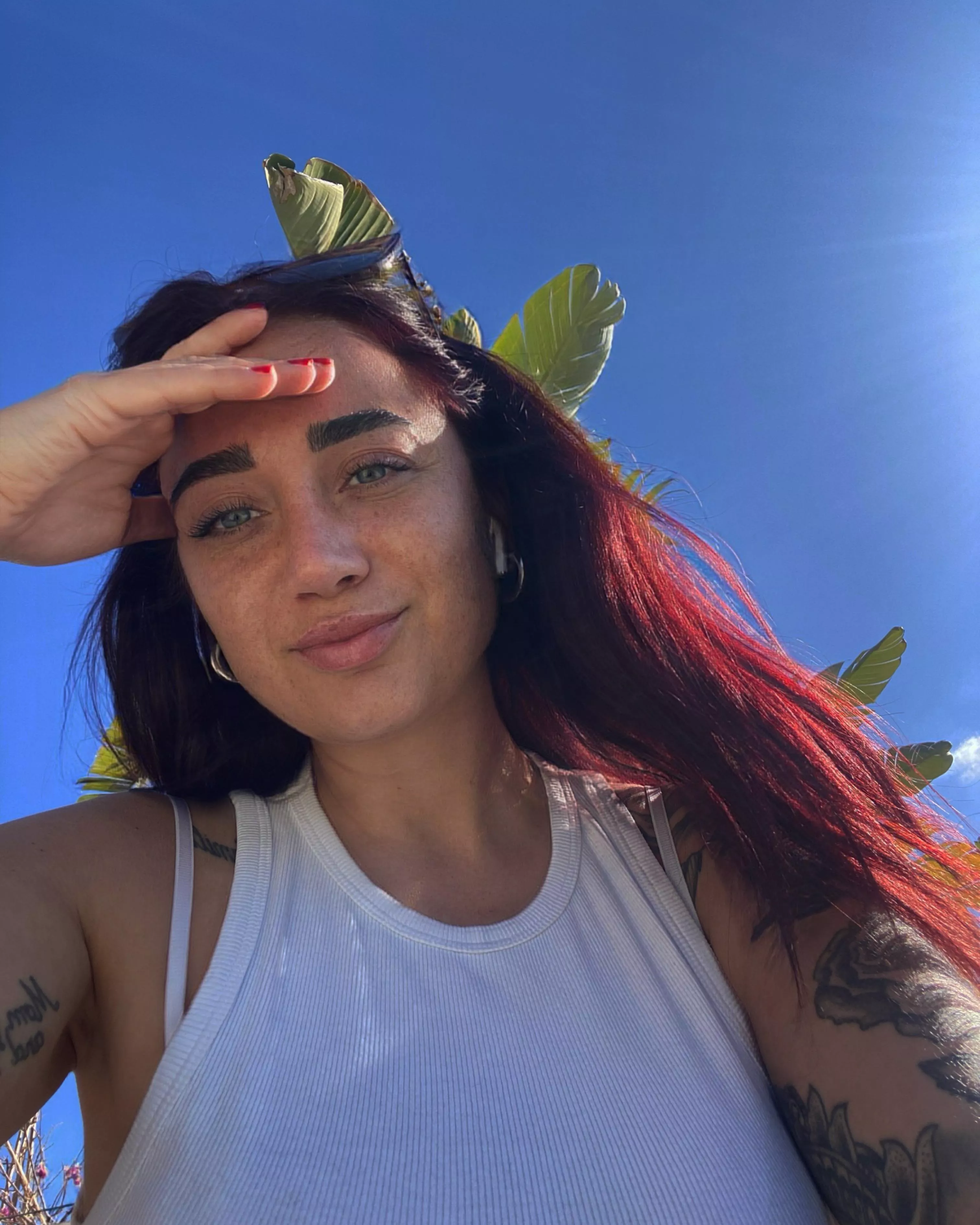 IUTR posted by awi476