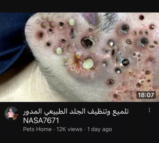 Literally loled when I saw this video thumbnail. Wtf by Mad_Trickster_Fae