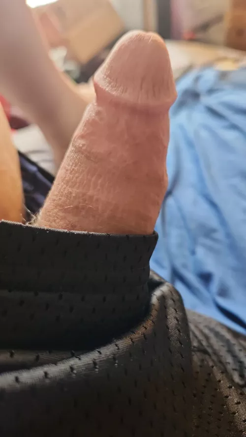 So horny dms open  by Few_Citron_8412