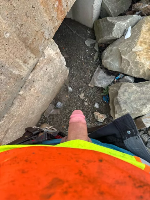 Softie at work by Shane_1717