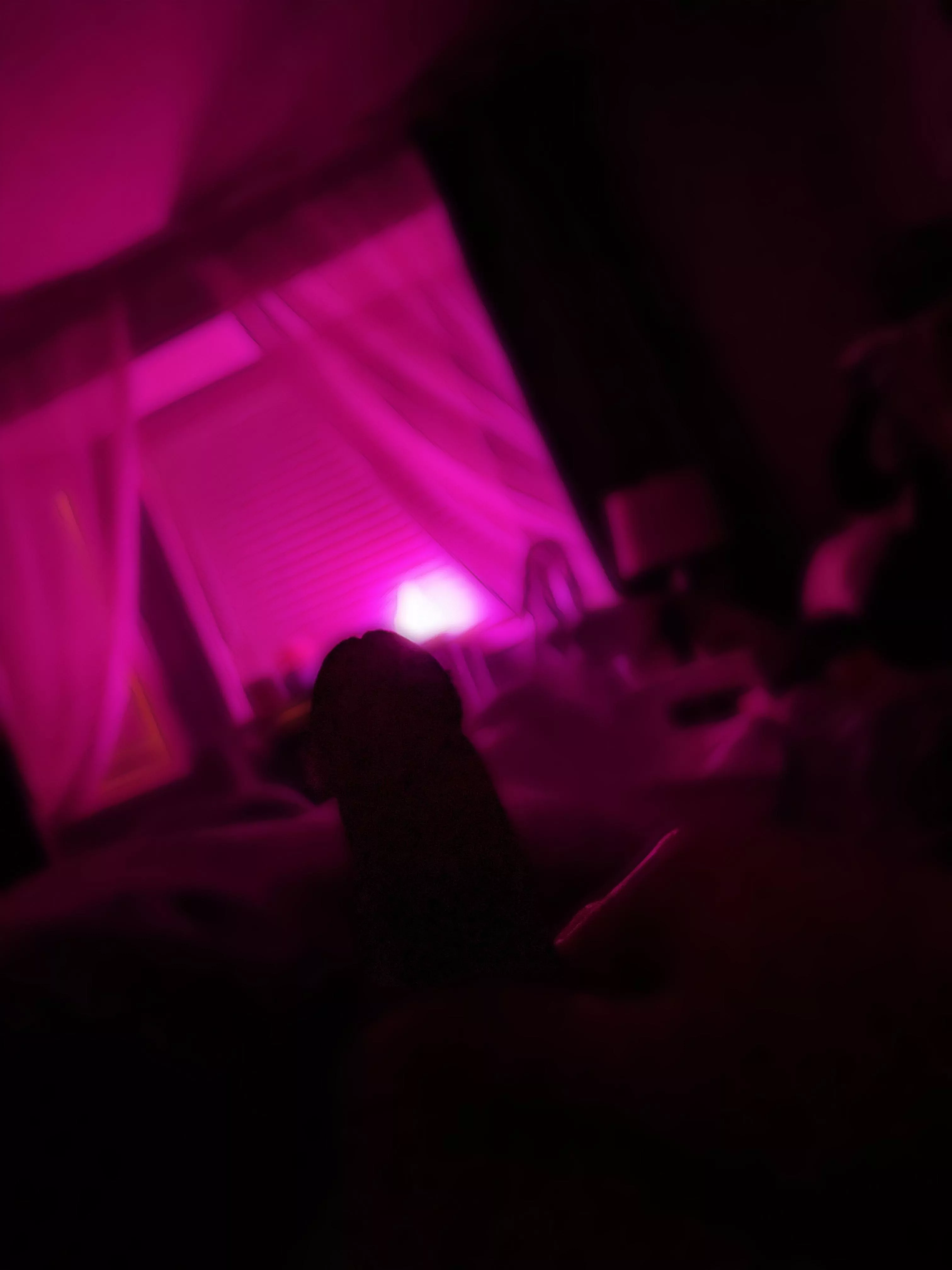 Some morning silhouettes  posted by jsc_4_u