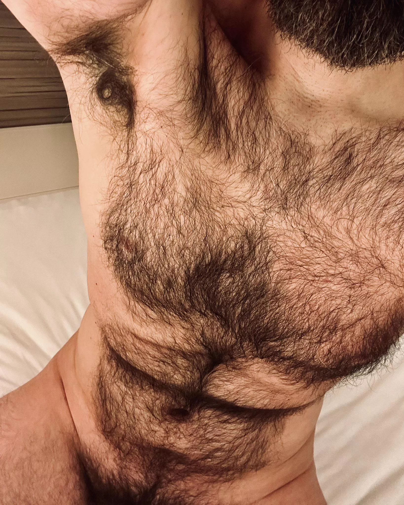 There's just hair everywhere... posted by jerseyjaxoff