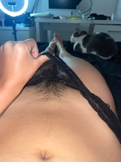 Think this bush is enough to make you hard by MosesBenson28