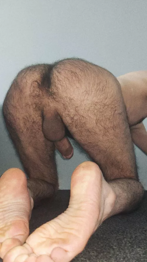 Would you breed me? by ceiaieyktn