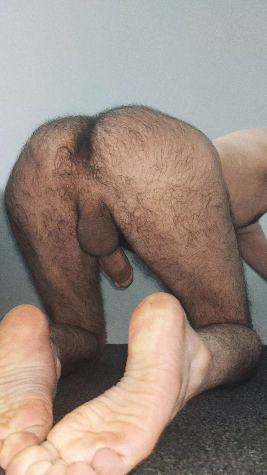 Would you breed me? posted by ceiaieyktn