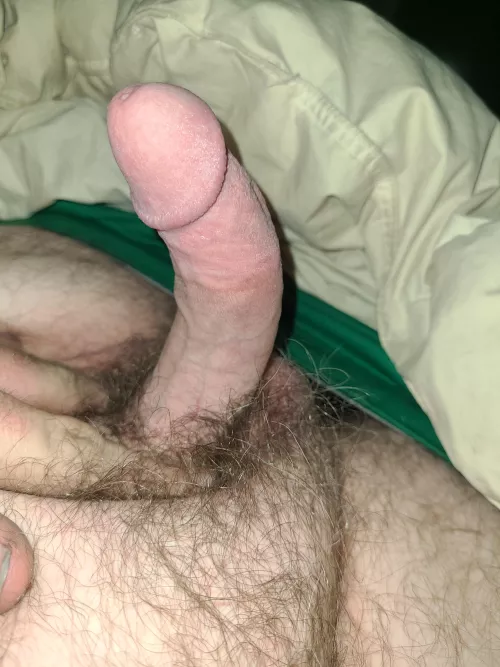 (43) I've already came 3 times today and it's still ready for action by doesntmatterreale