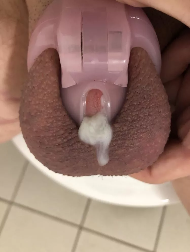 Are betas allowed to cum? posted by Sluttyslaveboy27