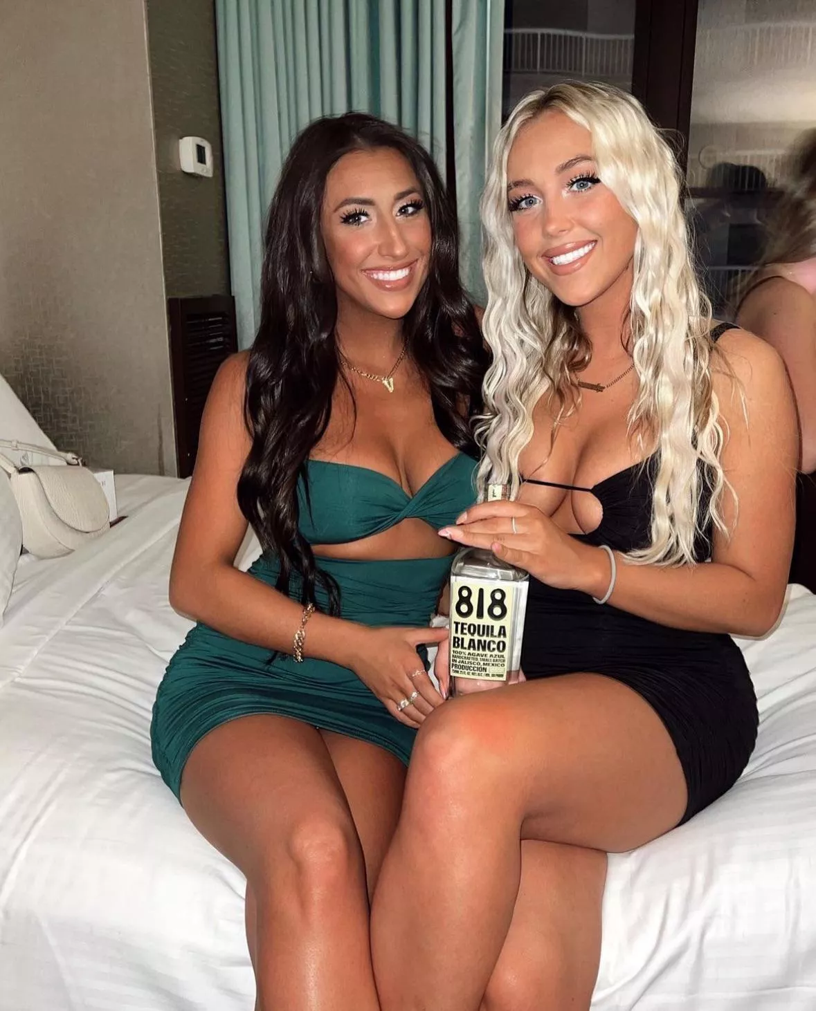 Brunette or Blonde? posted by Davidfox1403