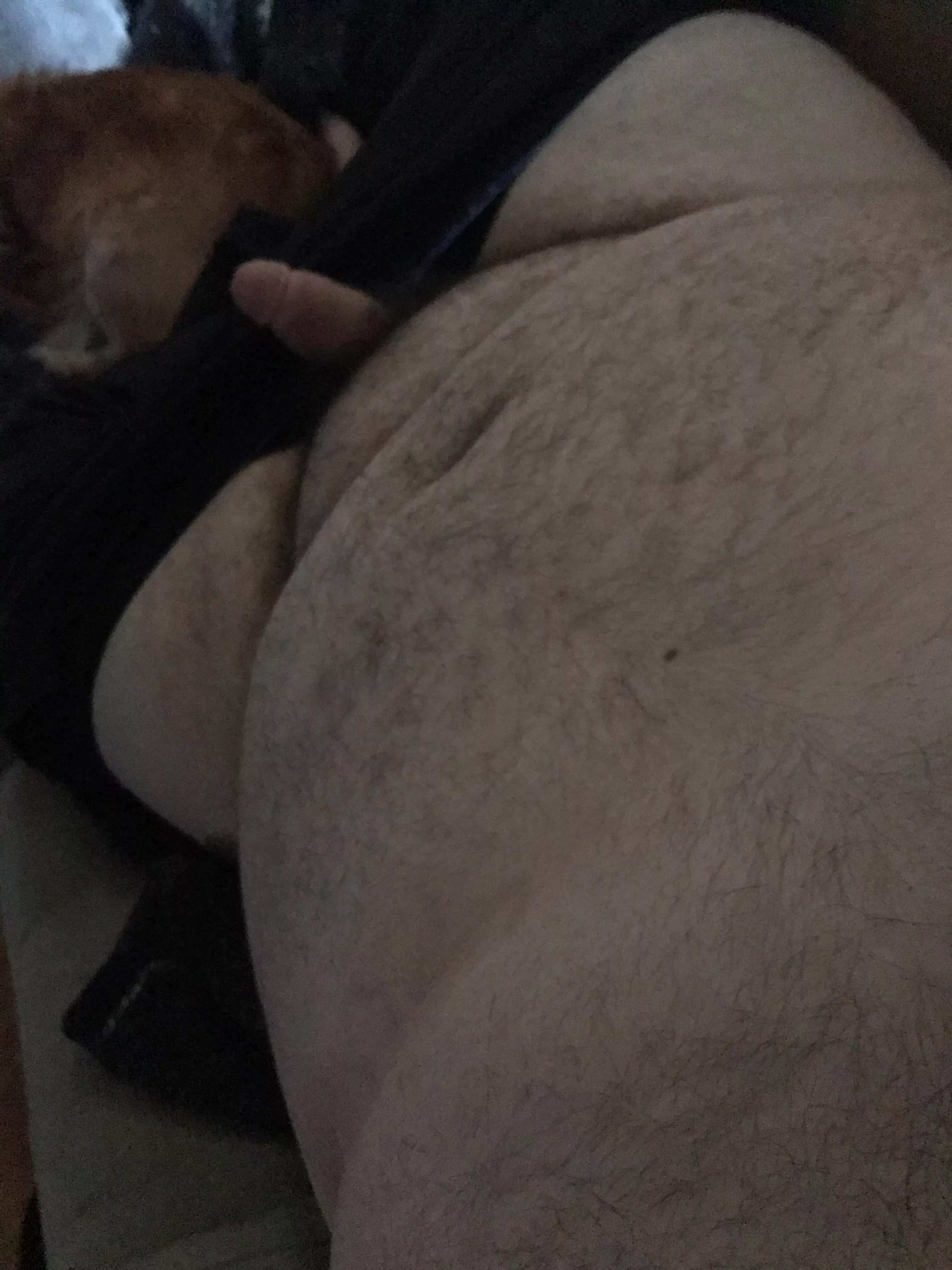 Cub looking to stroke dm me posted by Educational_Ant1387