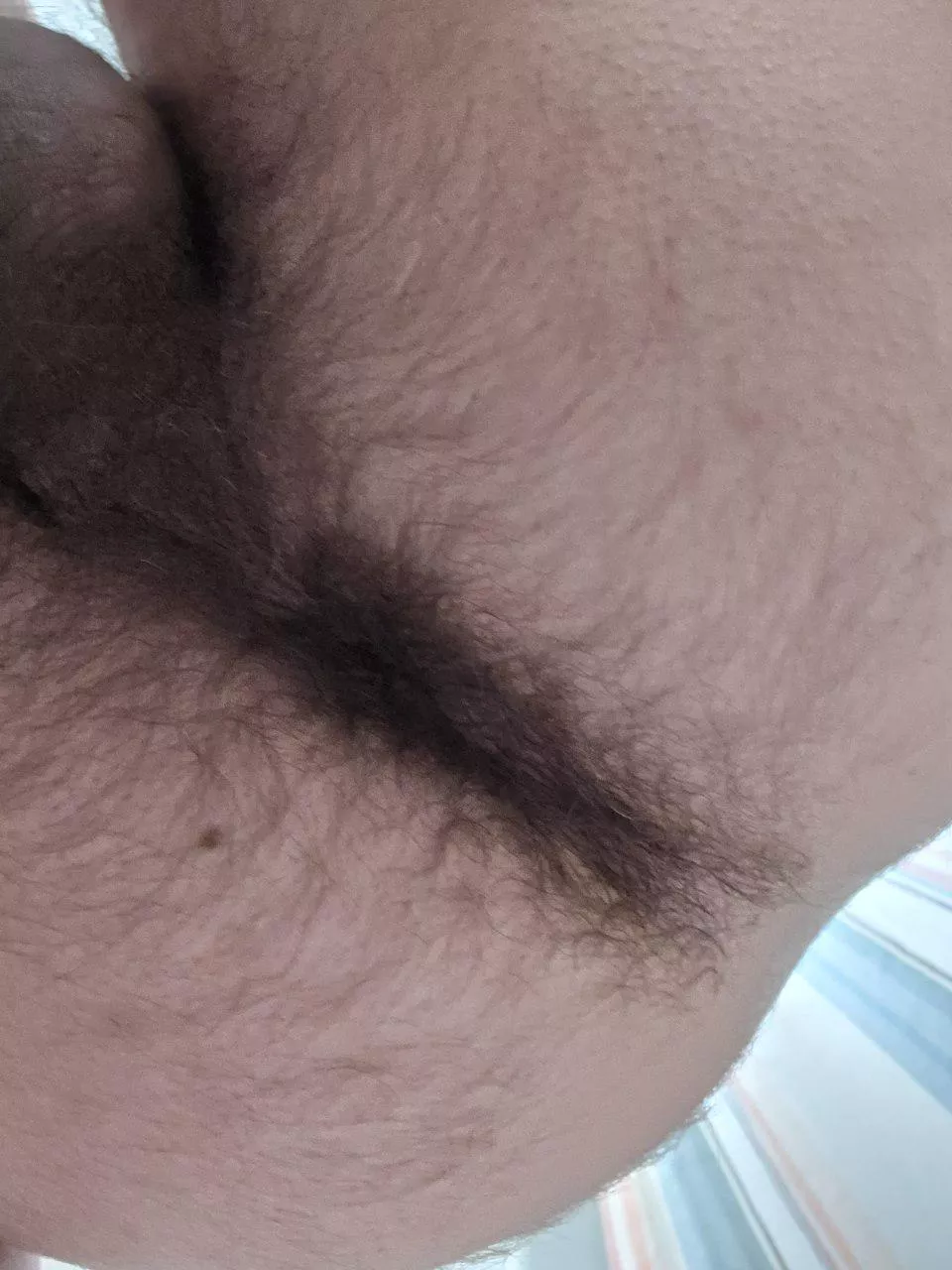 DM me if you'd fuck this hairy hole. Extra interested if you let me lick yours!  posted by flameonboy