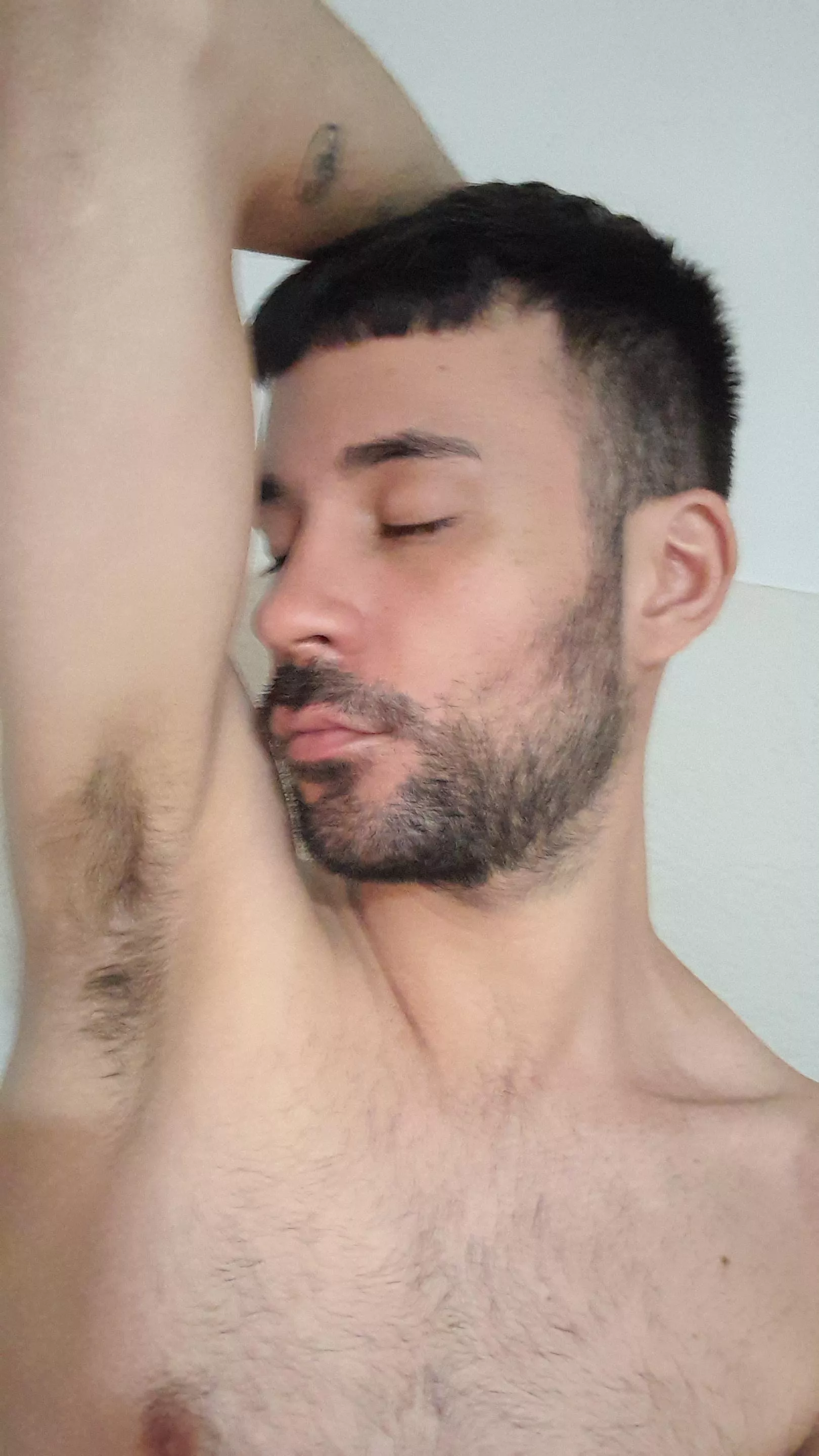 Do you smell my armpits? posted by Bbabywolf