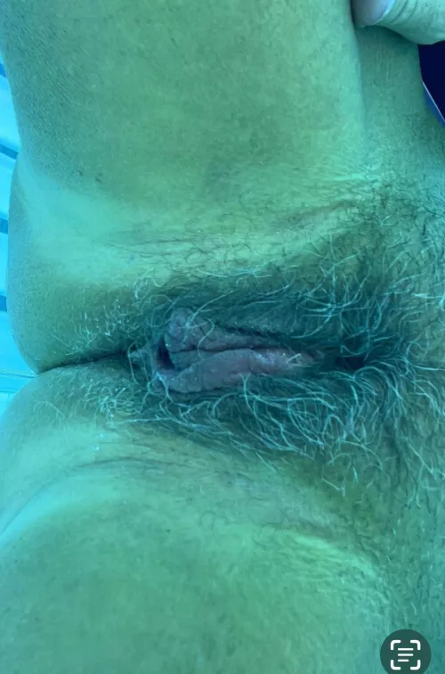 Grey bus[h] by Common-Compote-6257