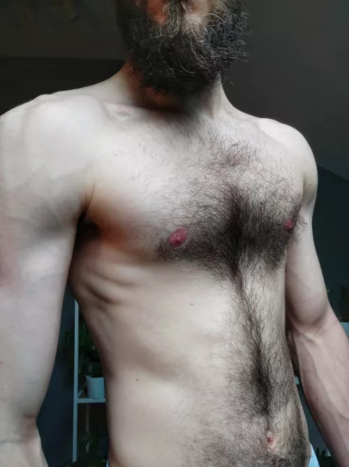 Hairy chest is masculine. Prove me wrong (25) by robertoo98