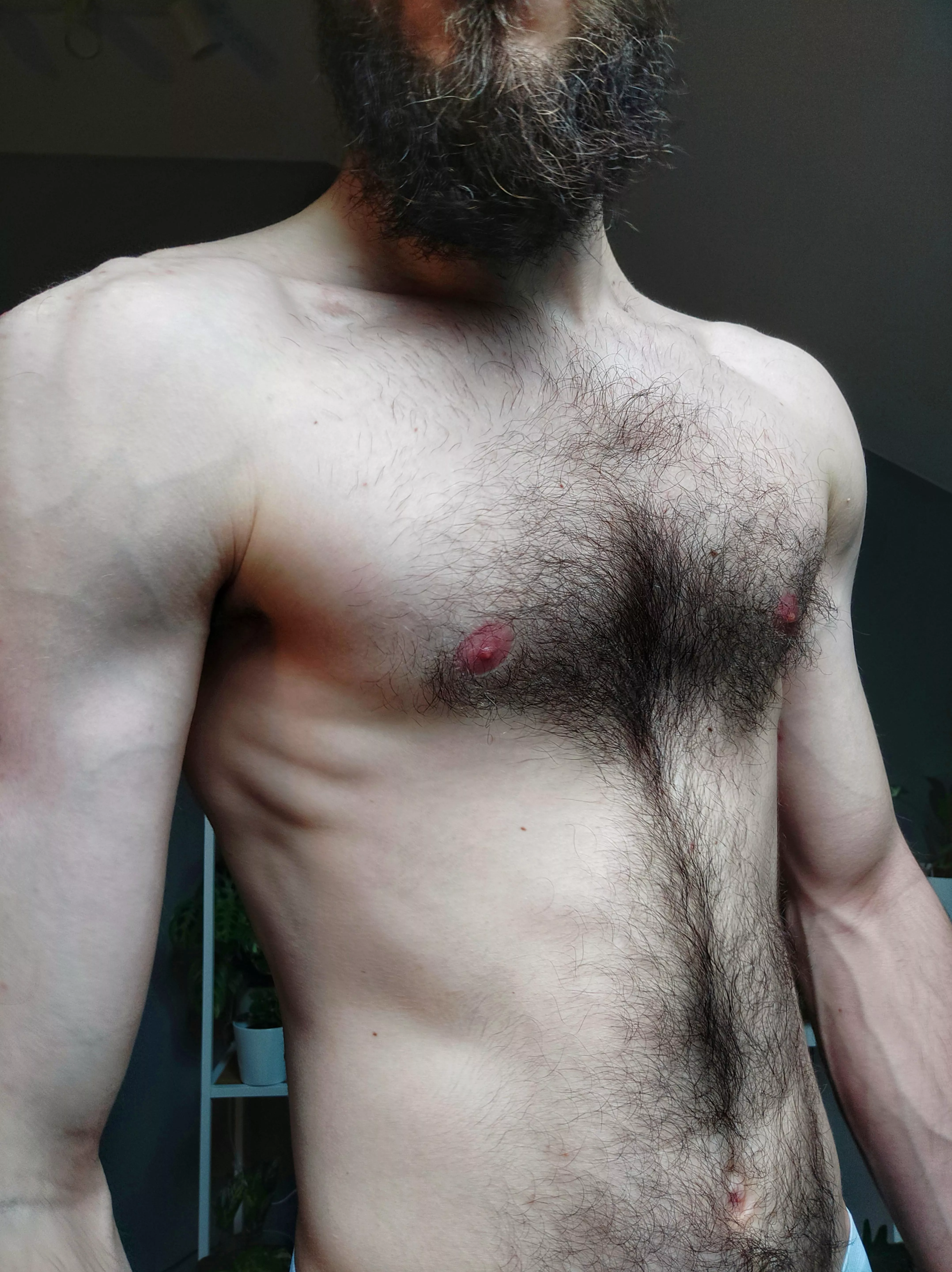 Hairy chest is masculine. Prove me wrong (25) posted by robertoo98