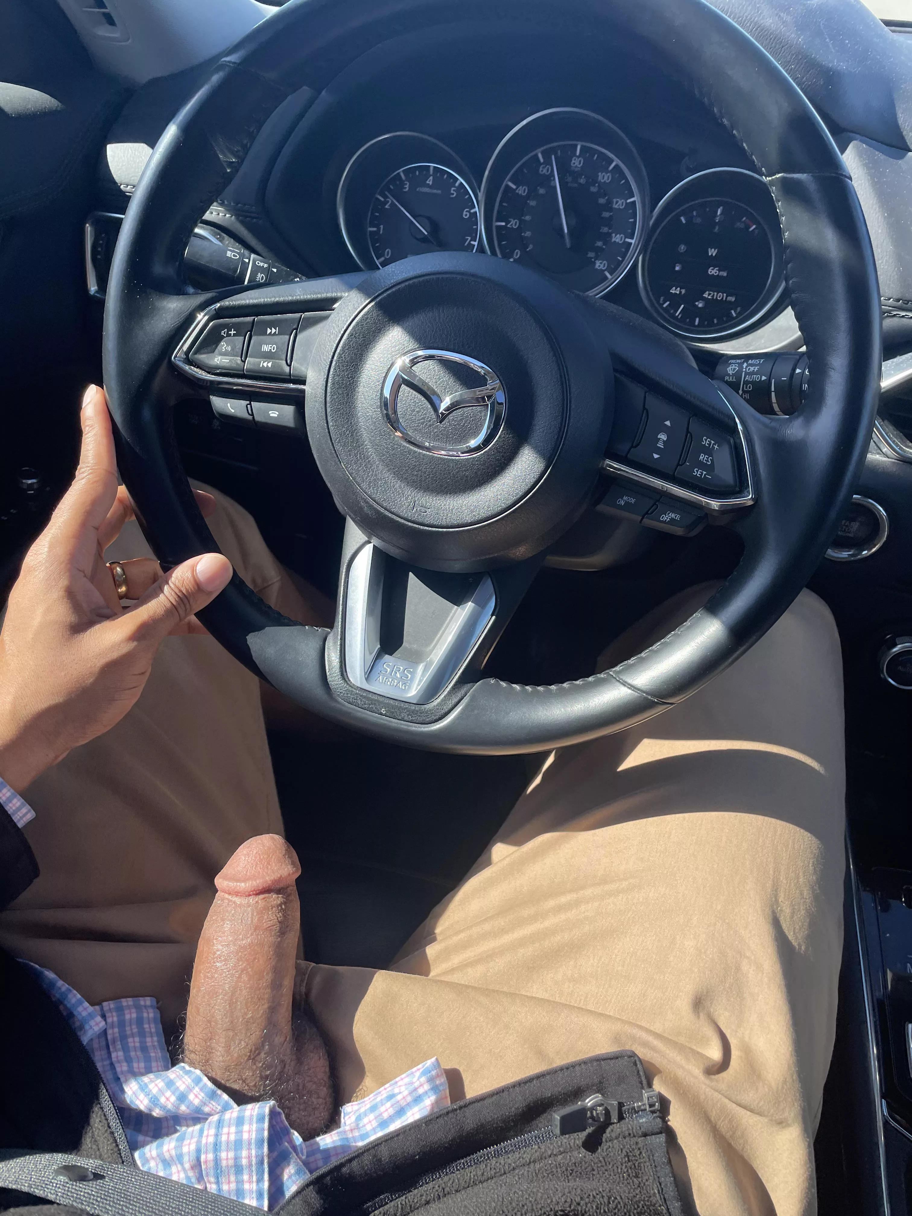 He really loves car rides posted by Immediate_Belt8291