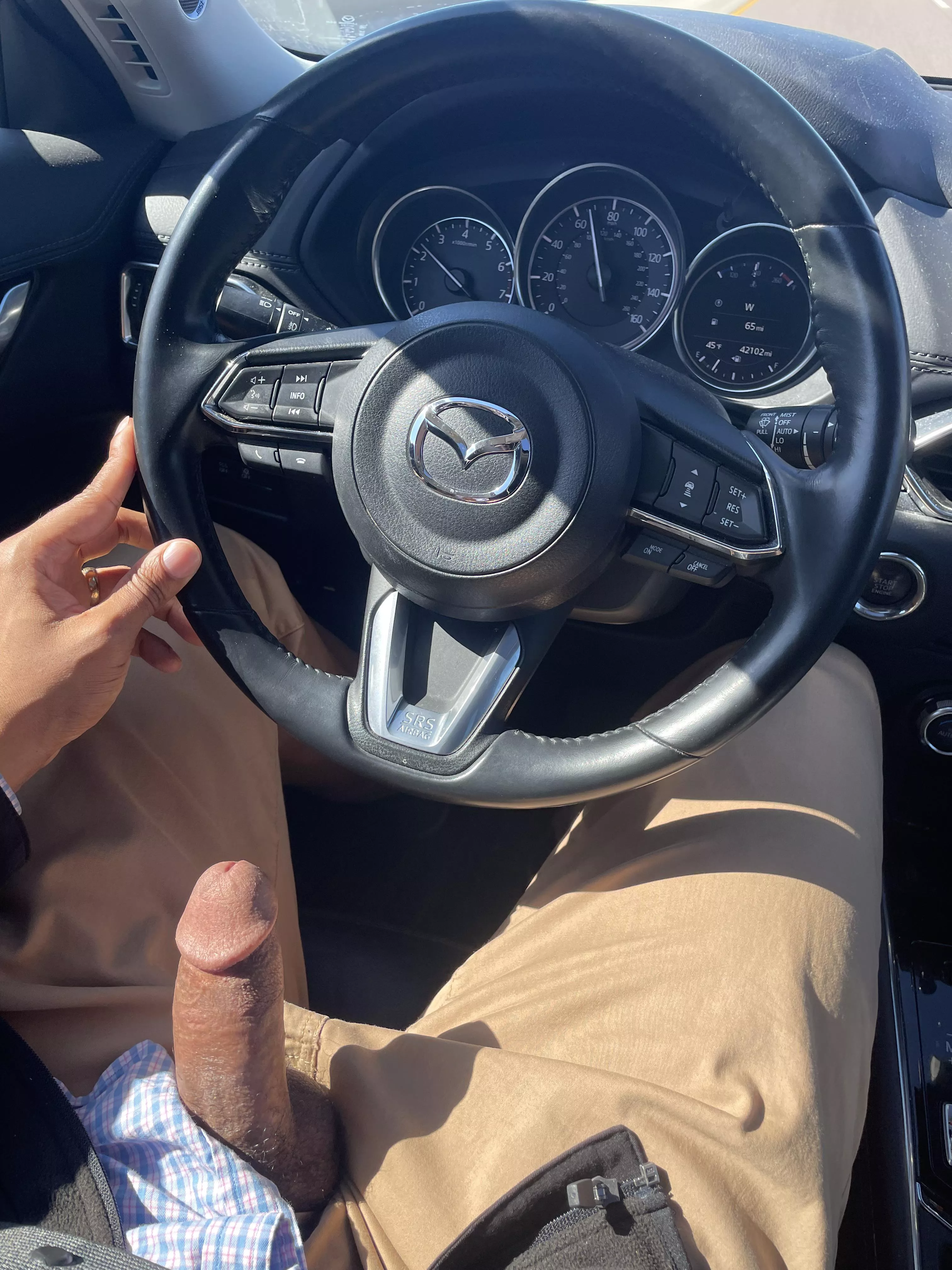 He really loves car rides posted by Immediate_Belt8291