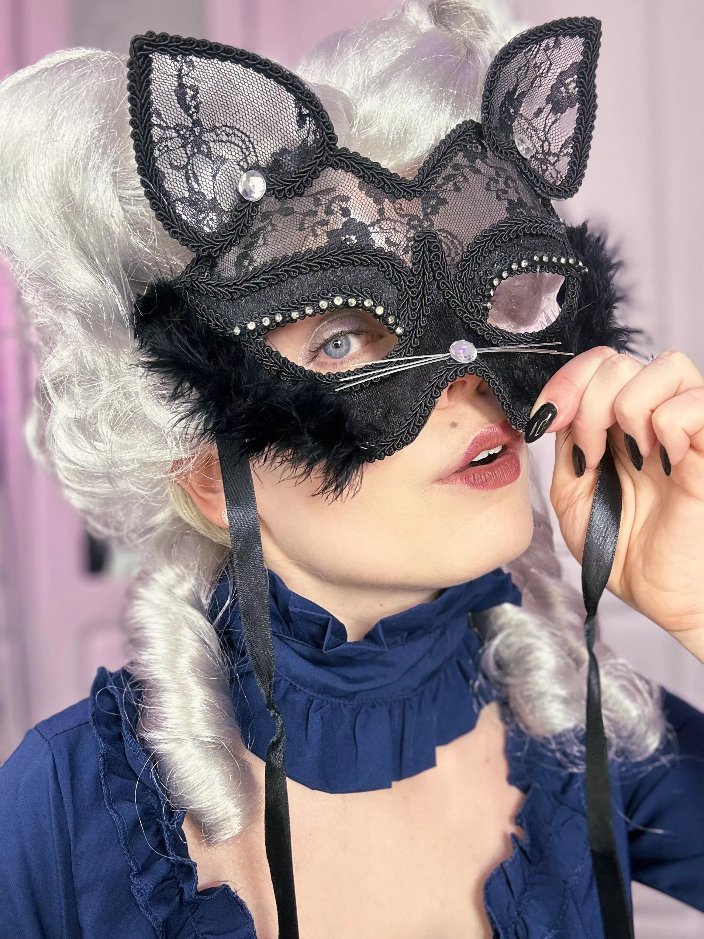 Masquerade Kitty  posted by ittybityprettykitty