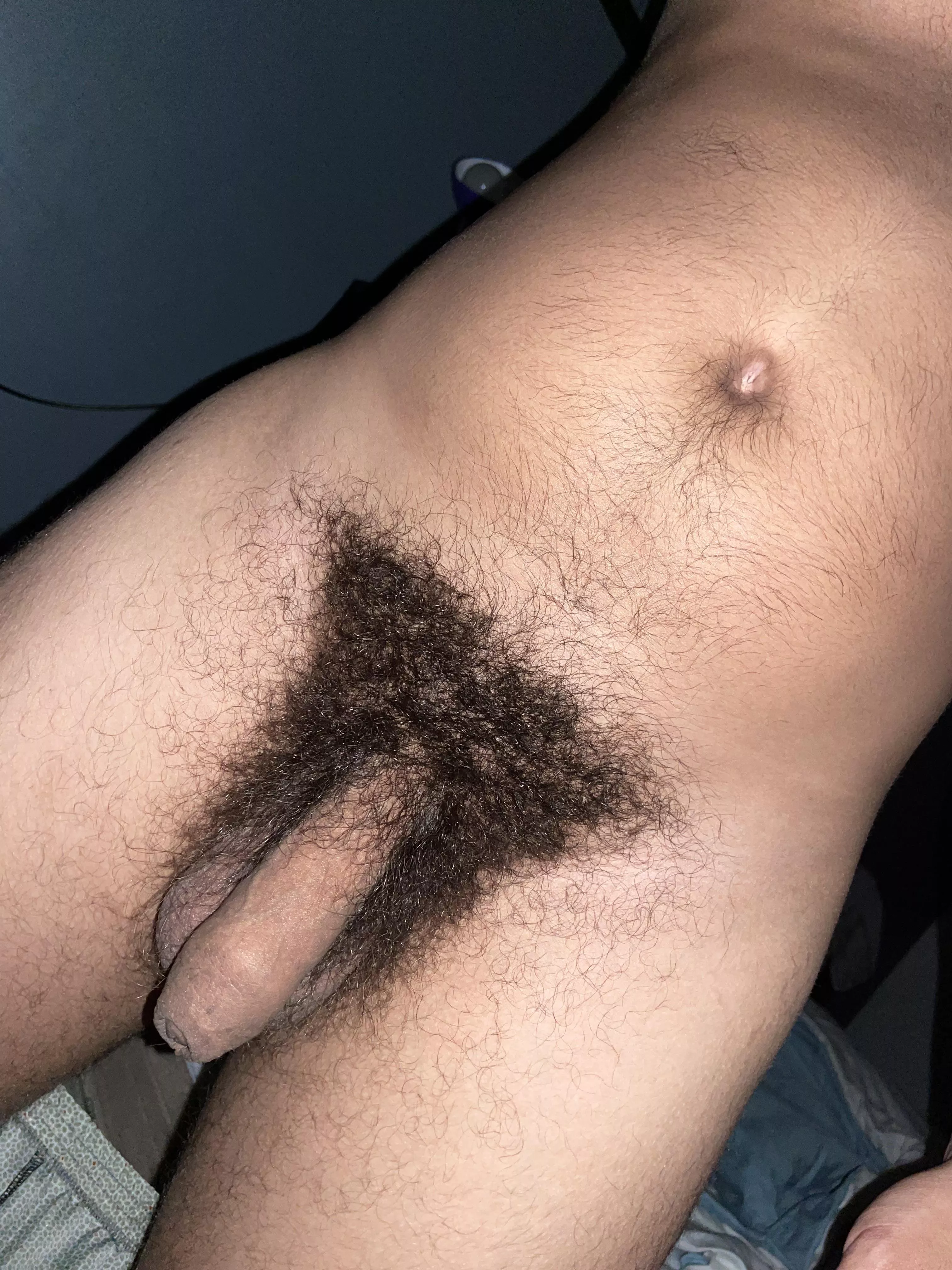 My dick, do you like it? posted by Western-Ad-7803