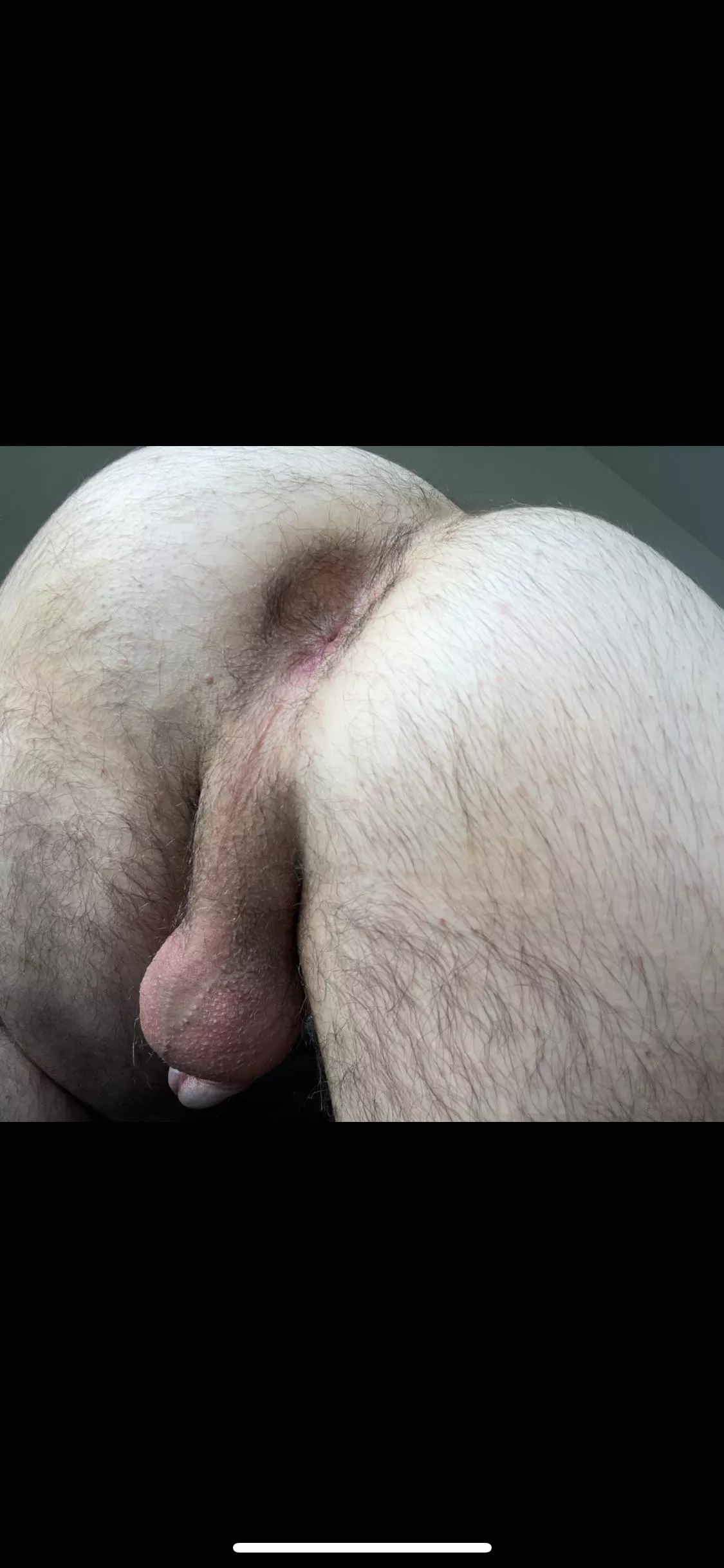 My Hairy Ass posted by No-Condition882