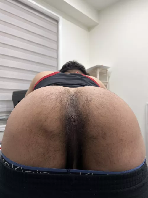 Nut in me by True-Town173