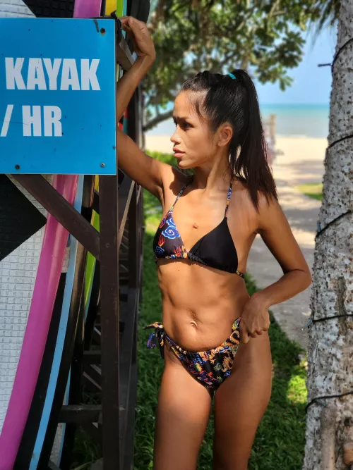 On the beach! by Ghandis_dog_groomer