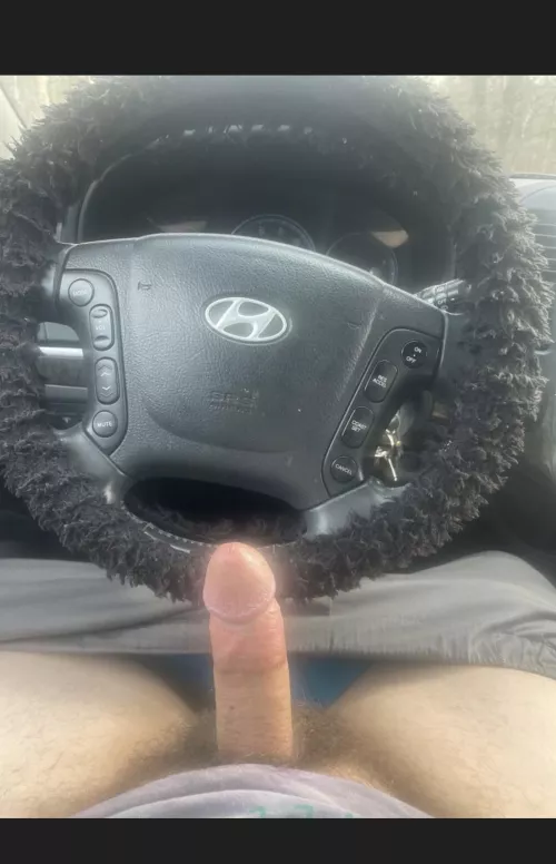 suck my dick in the car babe 😏 by Alive-Winter-7595