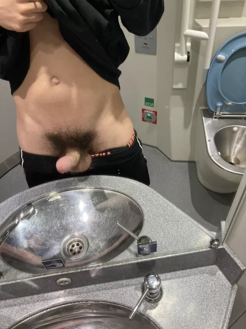 Who wants fun on the train toilet?  by Zemo1903