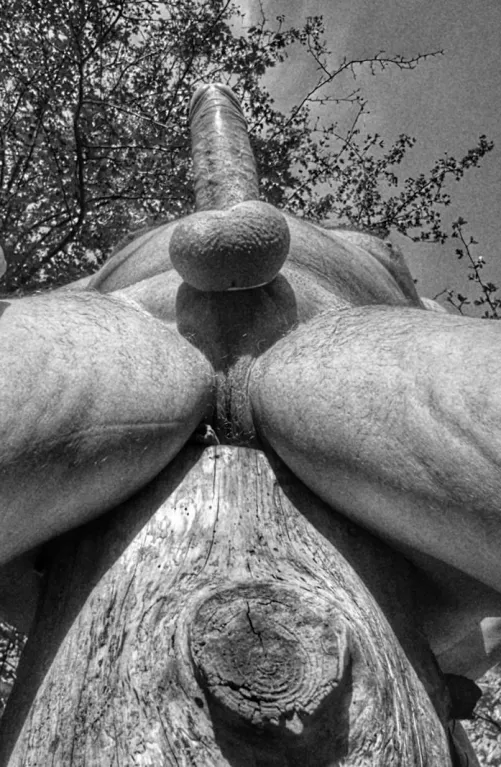 Woods 🪵  by JoeMarc72