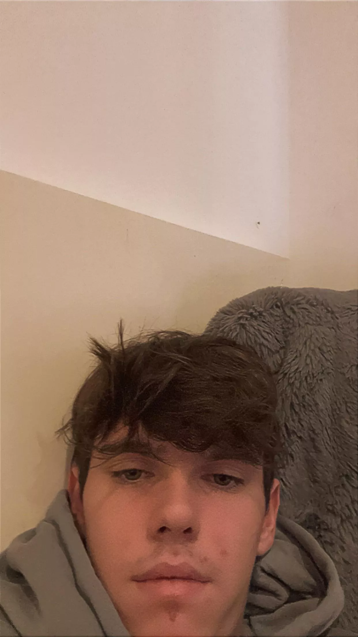 18 @harveytb05 VERBAL DOMS HMU. FACE A MUST posted by Alert_Cattle_9225