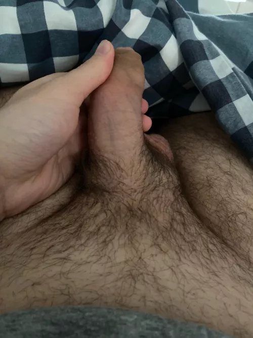 21 Dutch boy sc: tommie_boy24 by Tboy240