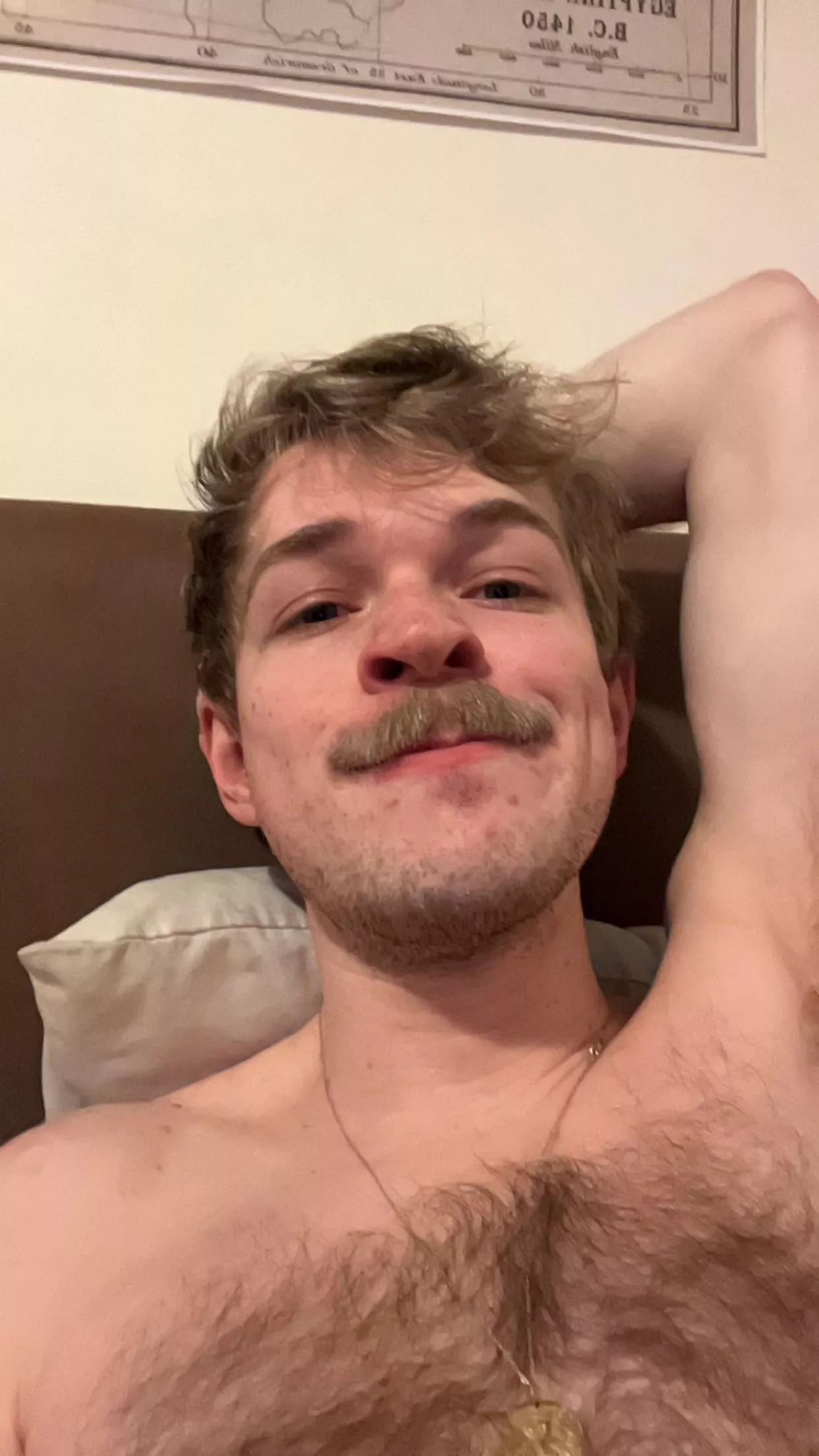 22 for slim/fit hairy+ verbal+ send face @brackbrock posted by abasketofpuppies2