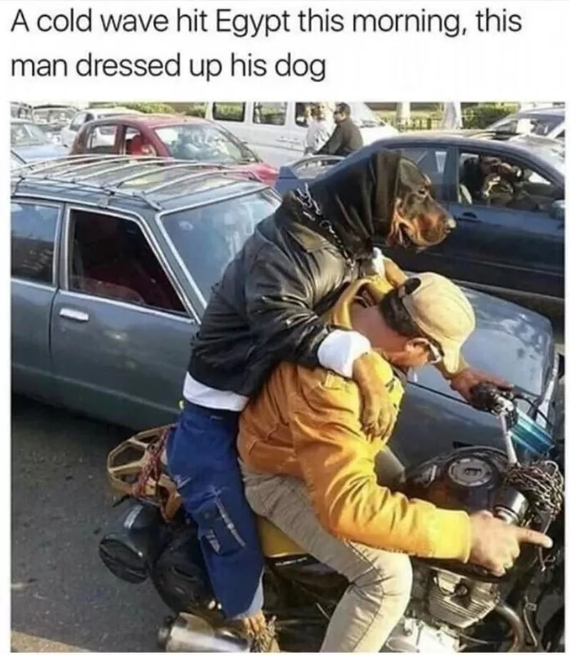 Egyptians are all furries, it’s a fact posted by Exile872