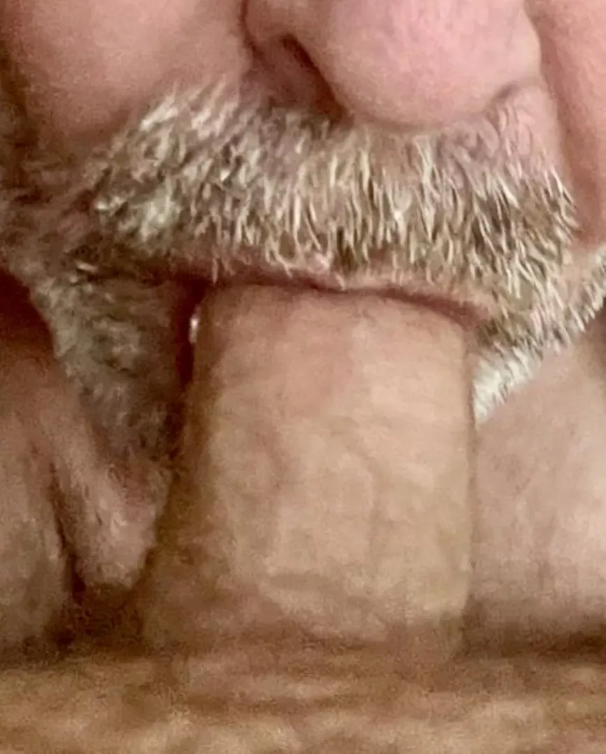 Feed me, i have no gag reflex and luv swallowing by Miserable-Pie2953