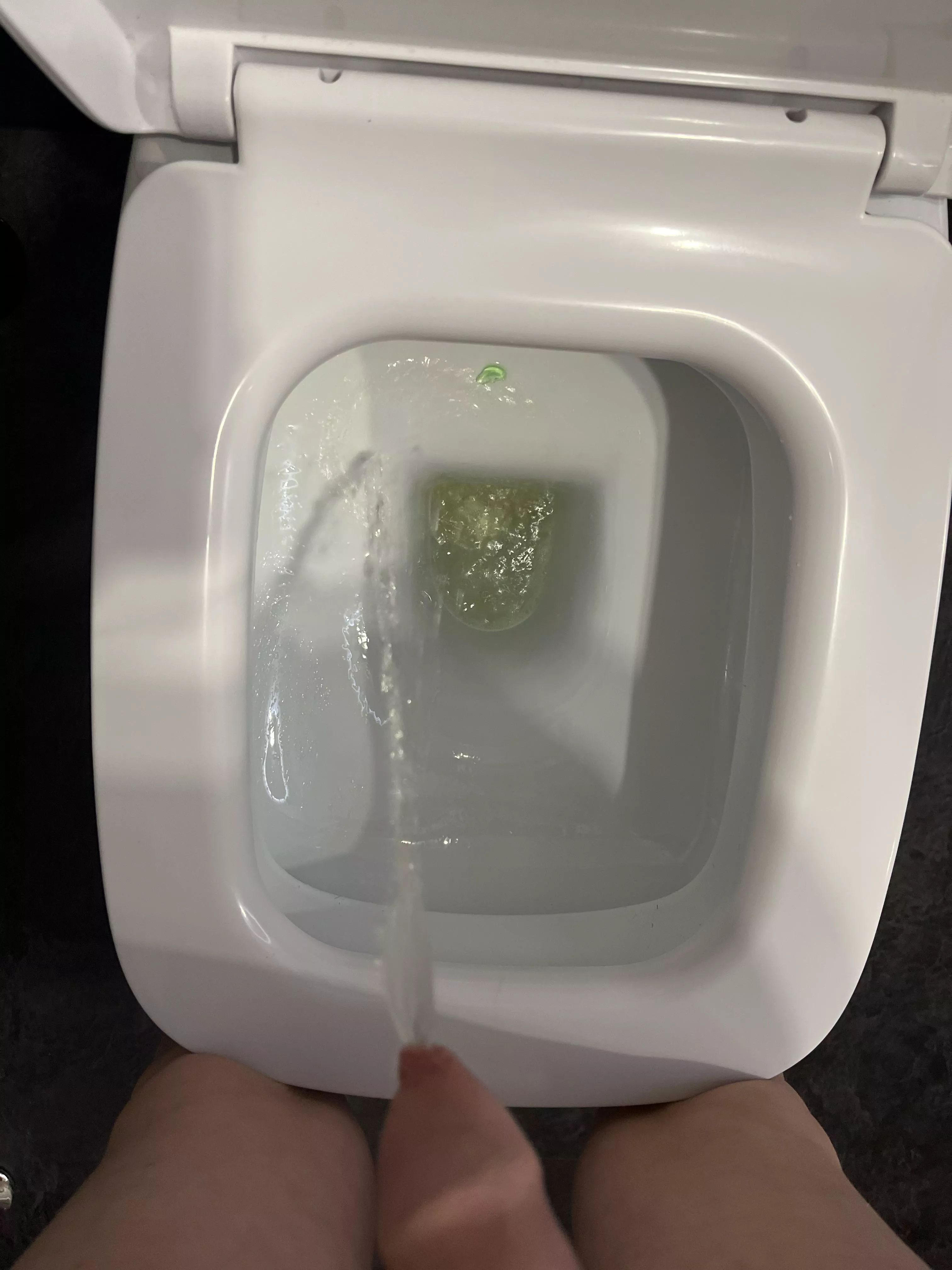 held this one in all day! posted by Slow-Moment9371