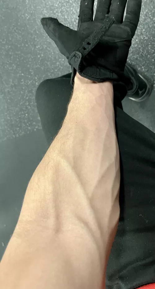 I wear gloves to the gym so my palms can stay soft enough to rub things nicely 🥰🥰 by TheeGuyDerek