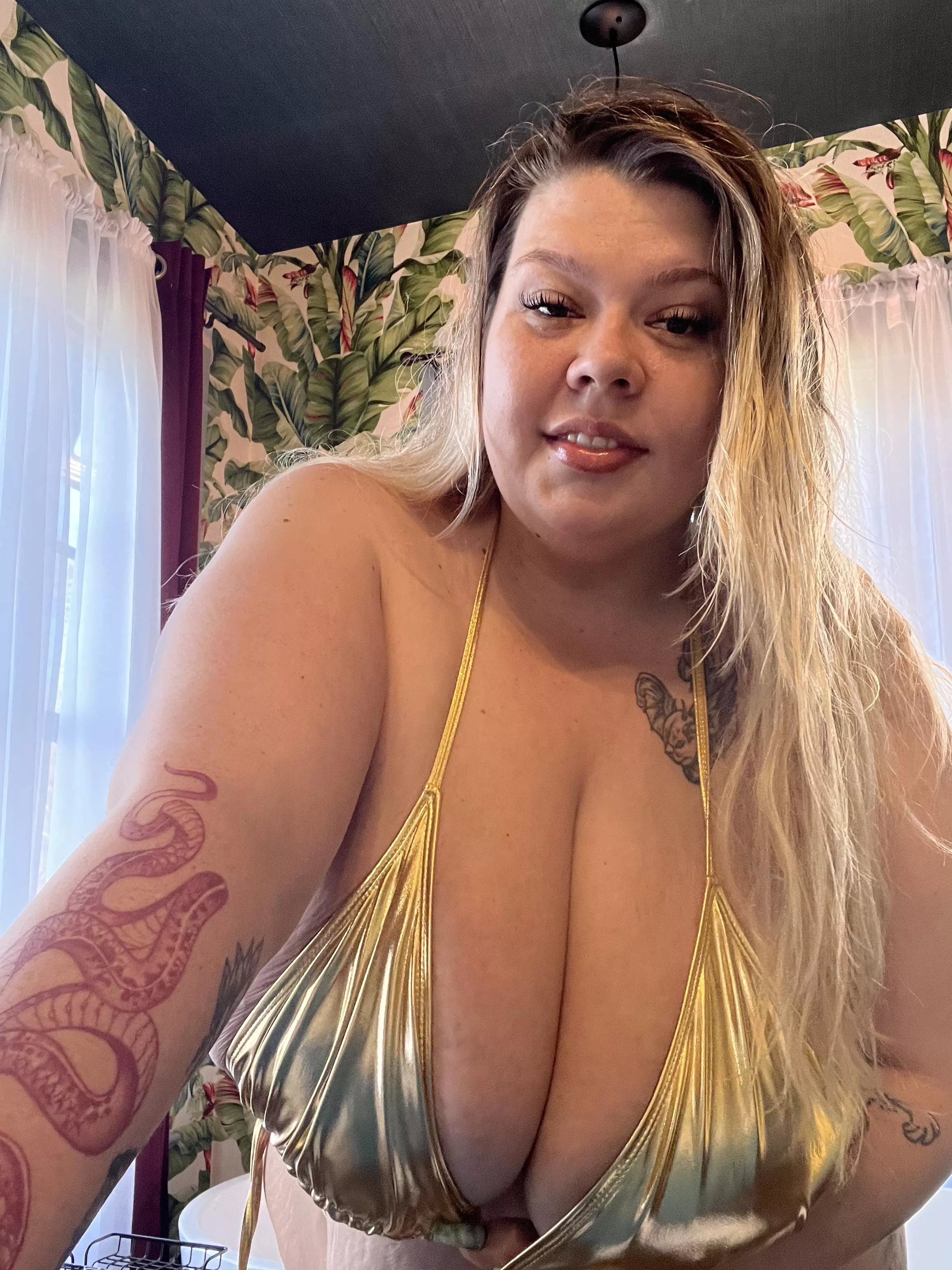 I’m just happy to see you  posted by brattytabby