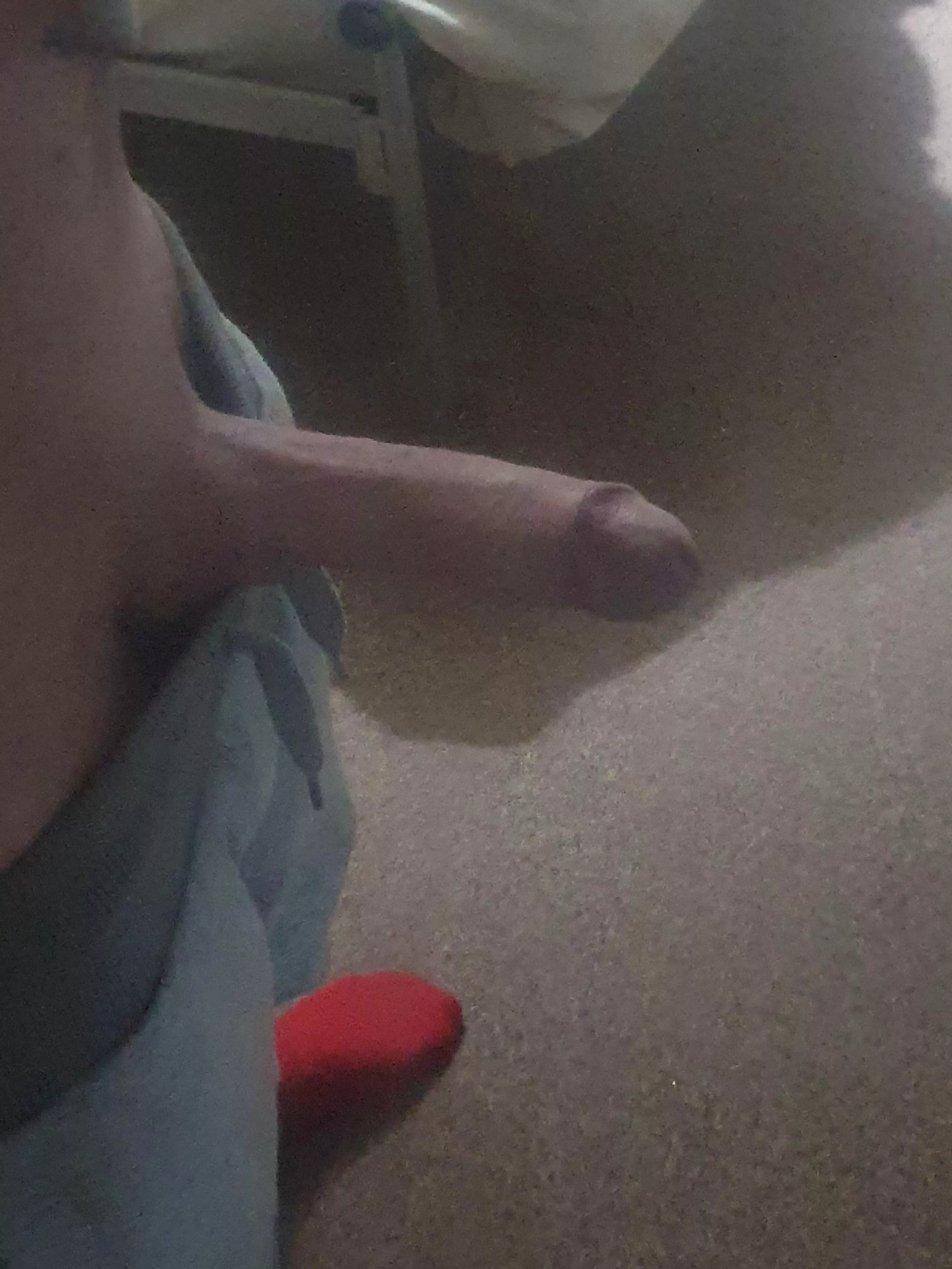 Is it Big enough? posted by Chemical-Worker-1224